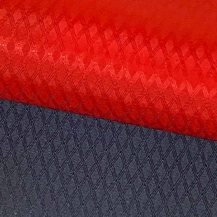 100D Nylon Fabric Supplier (Rip-Stop)